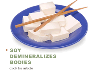 Soy Demineralizes bodies