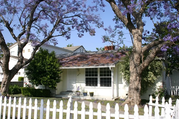 Photo of Dr. Pepi's Office