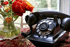 phone services available with dr. pepi