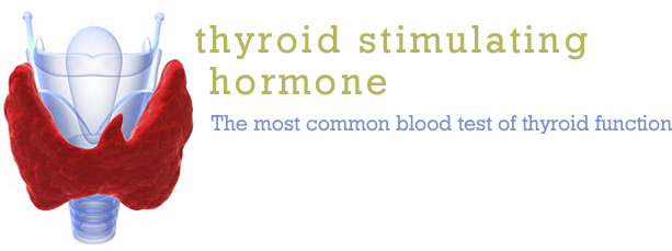 Thyroid Stimulating Hormone