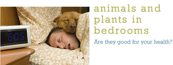 Animals and Plants in Bedrooms