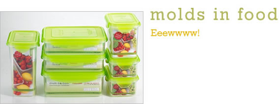Molds in Food