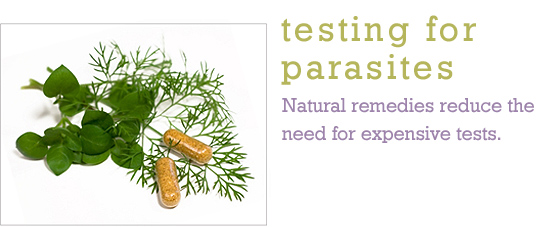 Testing for Parasites
