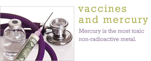 Vaccines and Mercury
